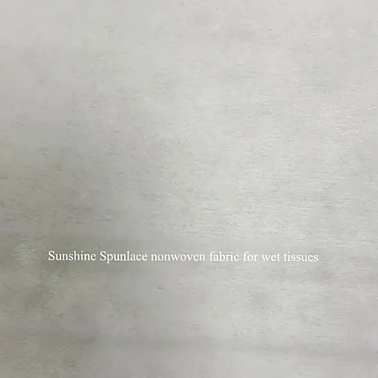 Spunlace Hydrophilic Breathable 100% Viscose Pet Viscose Spunlace Nonwoven Fabric for Compressed Towel