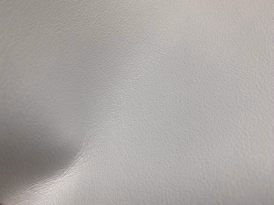 Norme en 20344 S2 de chaussures de sécurité non tissées en microfibre enduites d'unité centrale